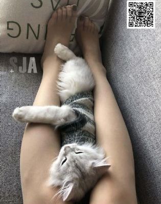 自偷自偷产区二十四区_BD韩语高清视频播放