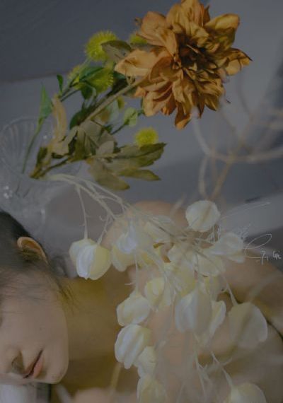 青柠网在线观看视频大全HD_BD英语高清视频播放